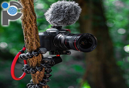 A Gorillapod holding a DSLR camera to a tree